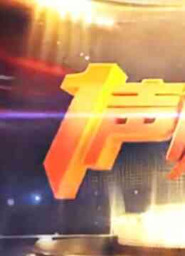 一声闪耀封面图