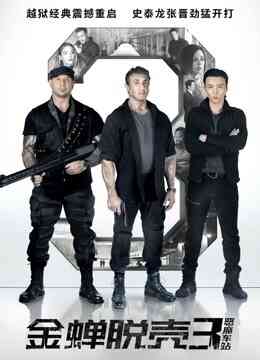 金蝉脱壳3：恶魔车站（普通话）封面图