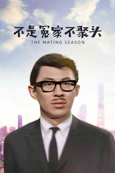 不是冤家不聚头封面图