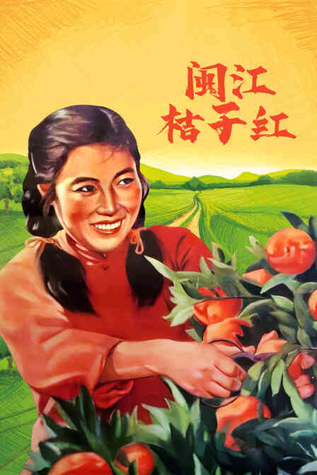 闽江桔子红封面图