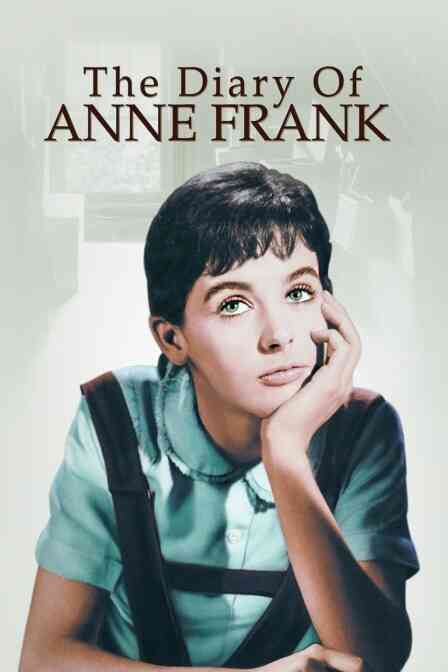 安妮少女的日记封面图