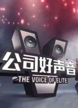 公司好声音封面图
