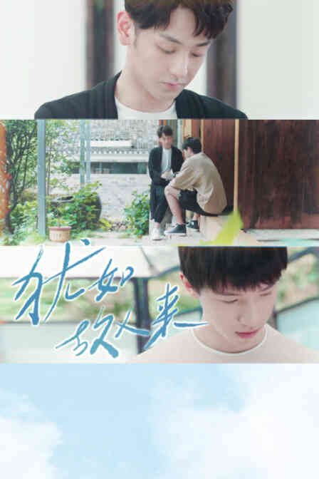 犹如故人来封面图