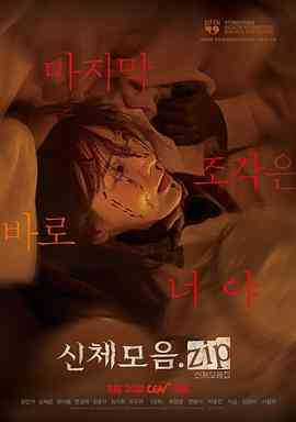 身体集合封面图