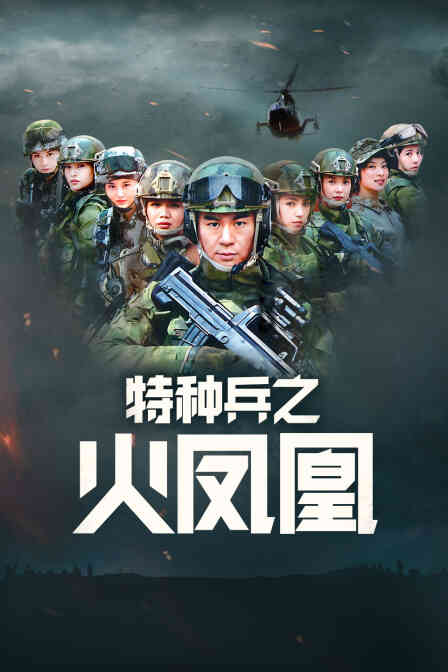 特种兵之火凤凰 DVD版封面图