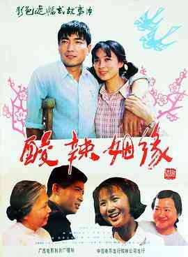 酸辣姻缘封面图