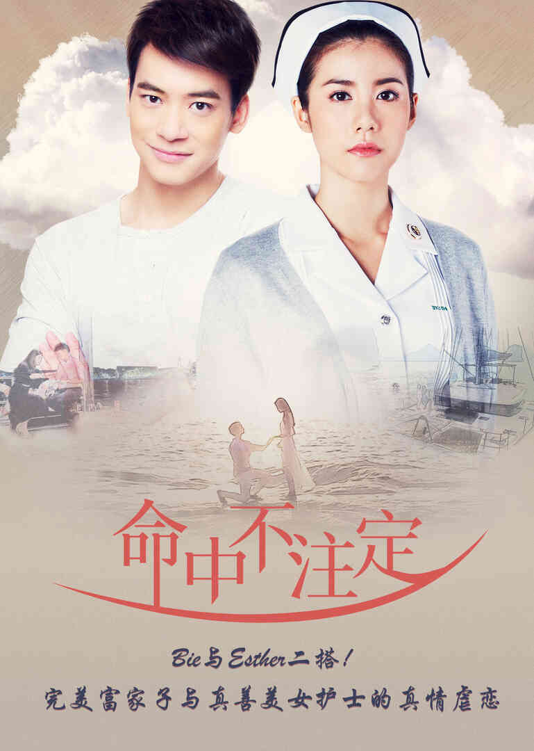 命中不注定（普通话）封面图