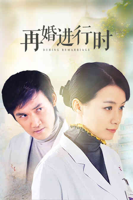 再婚进行时封面图