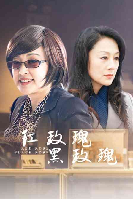 红玫瑰，黑玫瑰封面图