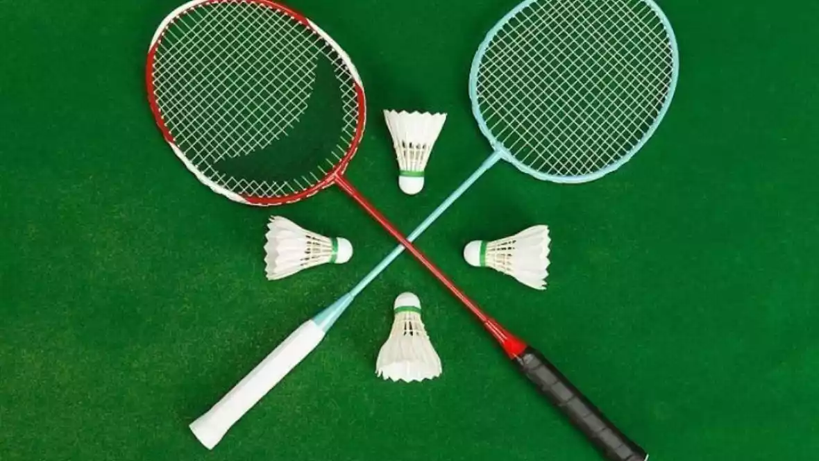 2023海露羽毛球赛 李佳馨邓淳薰VS奥巴娜娜林劳伦封面图