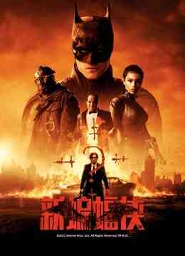 新蝙蝠侠（普通话）封面图