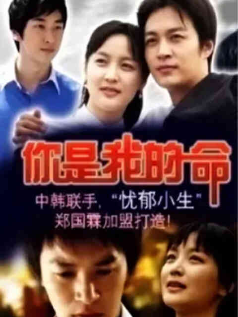 命运的春天封面图