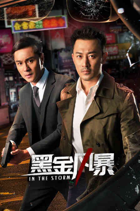 黑金风暴封面图