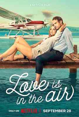 爱在云霄封面图