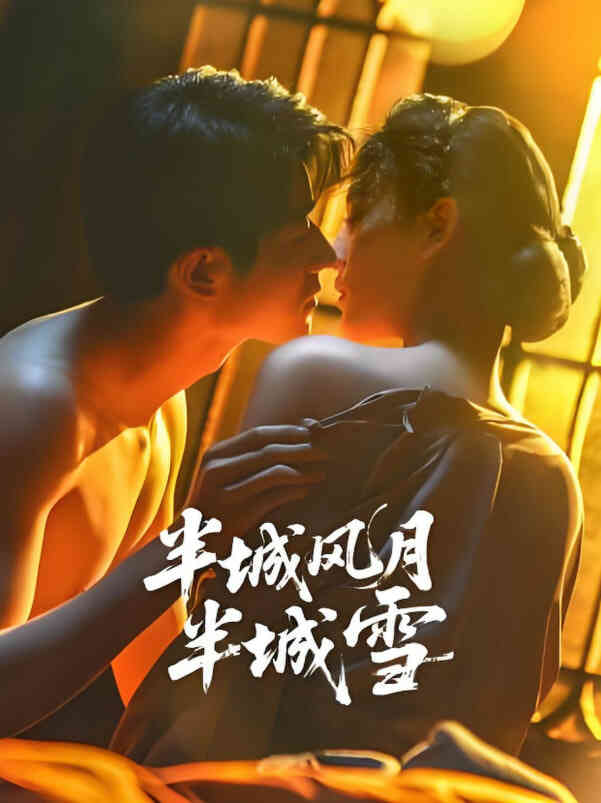 半城风月半城雪封面图