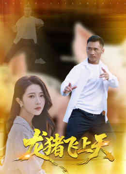 龙猪飞上天封面图