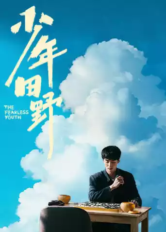 少年田野封面图