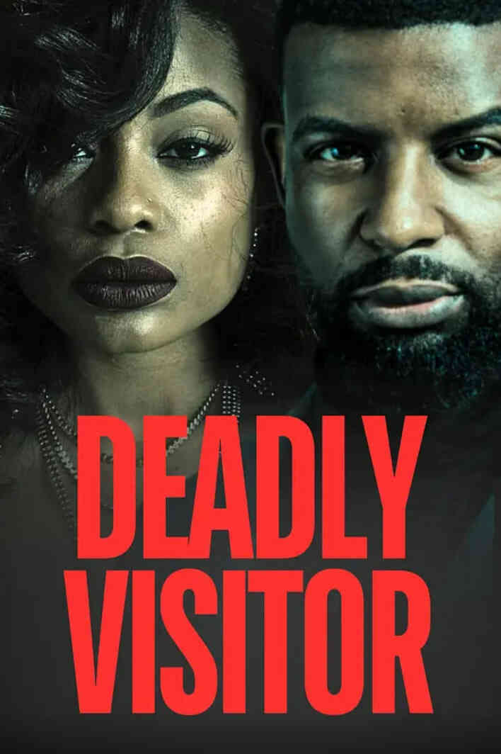 致命访客封面图