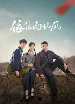 依依向北风封面图