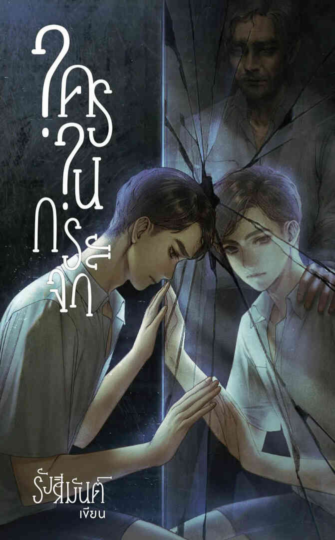 镜中秘影封面图