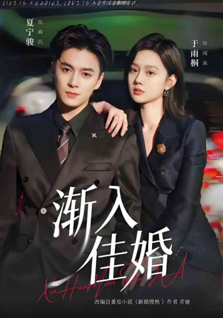 渐入佳婚封面图