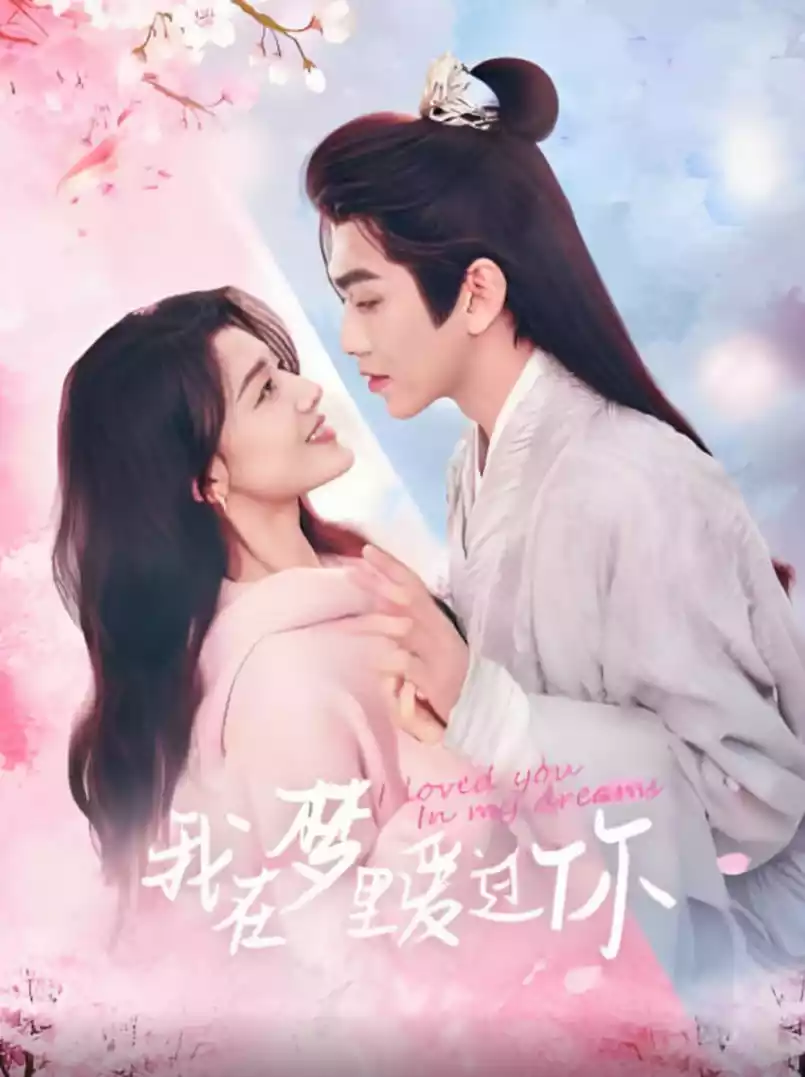 我在梦里爱过你封面图