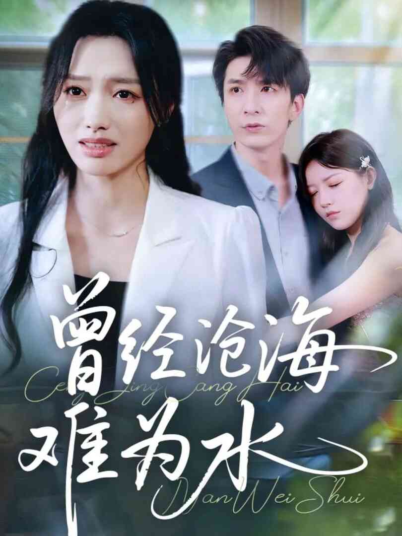 曾经沧海难为水 2025封面图