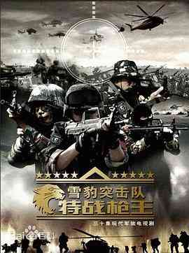 雪豹突击队之特战枪王封面图