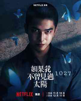 如果我不曾见过太阳封面图