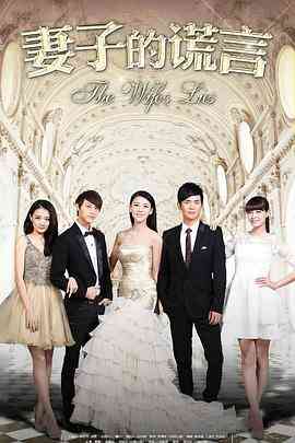 妻子的谎言2015封面图