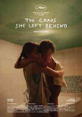 她留下的混乱封面图