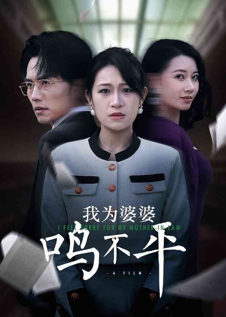 正义较量 我为婆婆鸣不平封面图