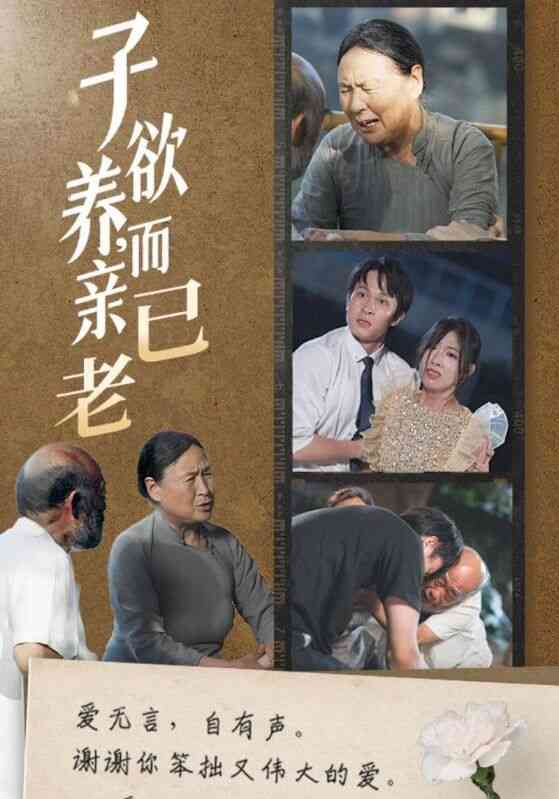 子欲养，而亲已老封面图