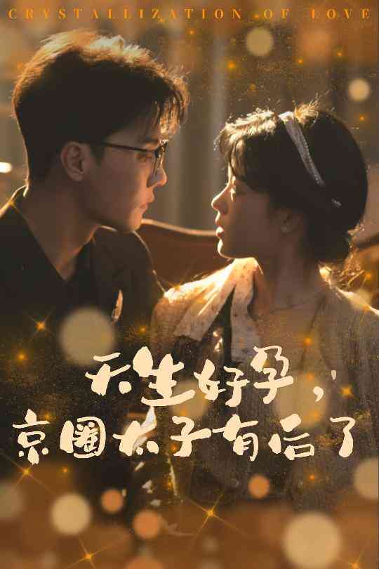 天生好孕京圈太子有后了 你与光共落人间封面图