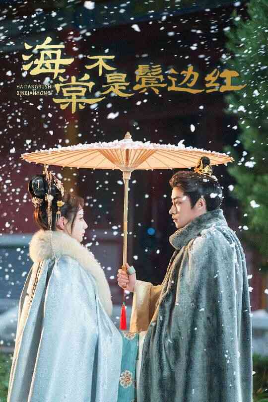 海棠不是鬓边红 人生若只如初见封面图