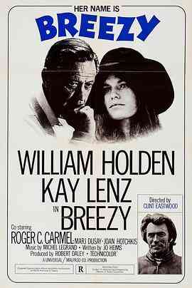 春花秋月未了情封面图