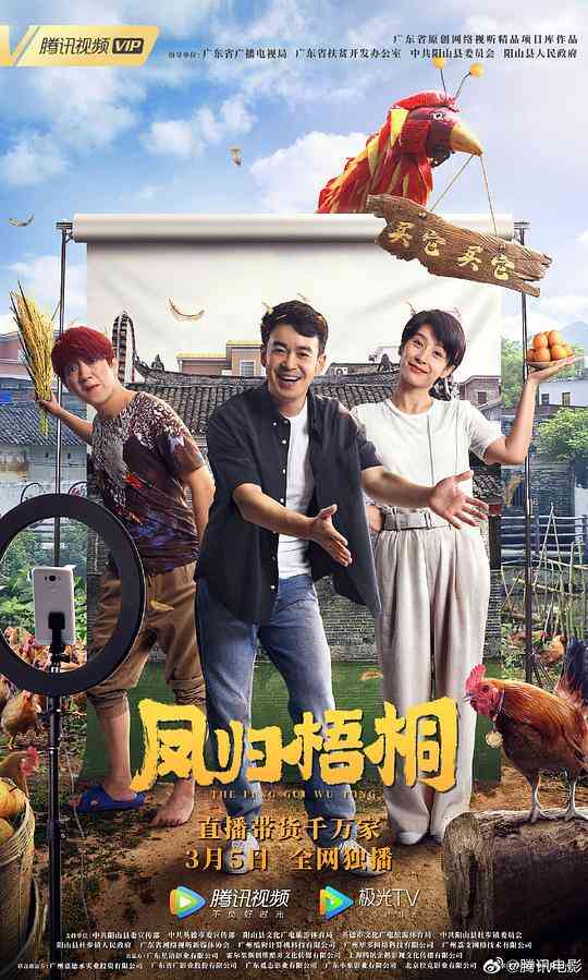 凤归梧桐封面图