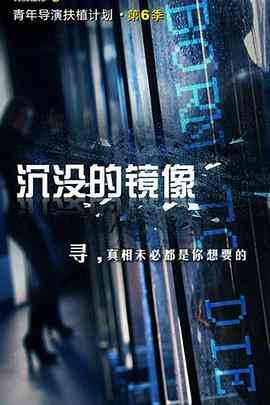 沉没的镜像封面图