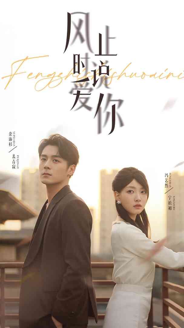 风止时说爱你封面图