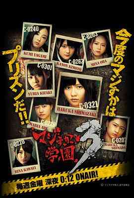 真假学园3封面图