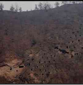 狩猎场·寄死窑封面图