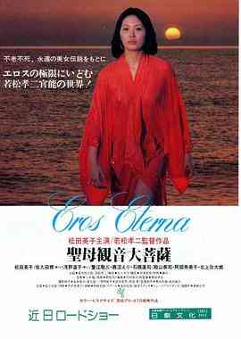 圣母观音大菩萨封面图