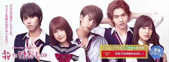 花予野兽第一季封面图