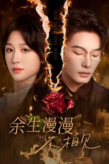 余生漫漫不相见 我们的爱到此为止封面图