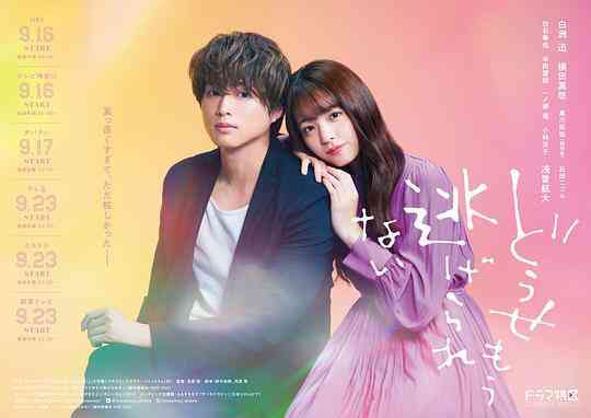 反正你也逃不掉封面图