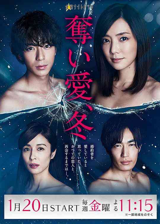 夺爱之冬封面图