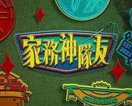 家务神队友封面图