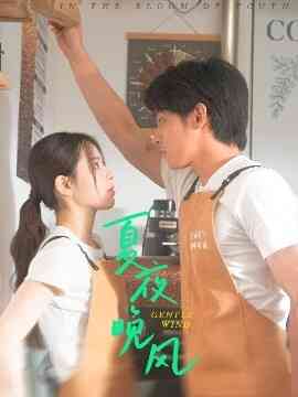 夏夜晚风封面图