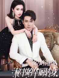 权力的诱惑之秘书的华丽转身封面图