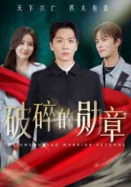 破碎的勋章 被戏子侮辱后我国士的身份曝光封面图